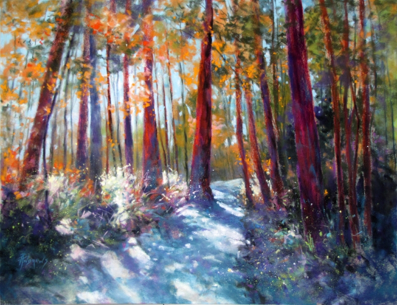 Springbrook Dynamics by artist Rae Andrews